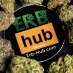 Mix An Match 200$ Flower Digital Art