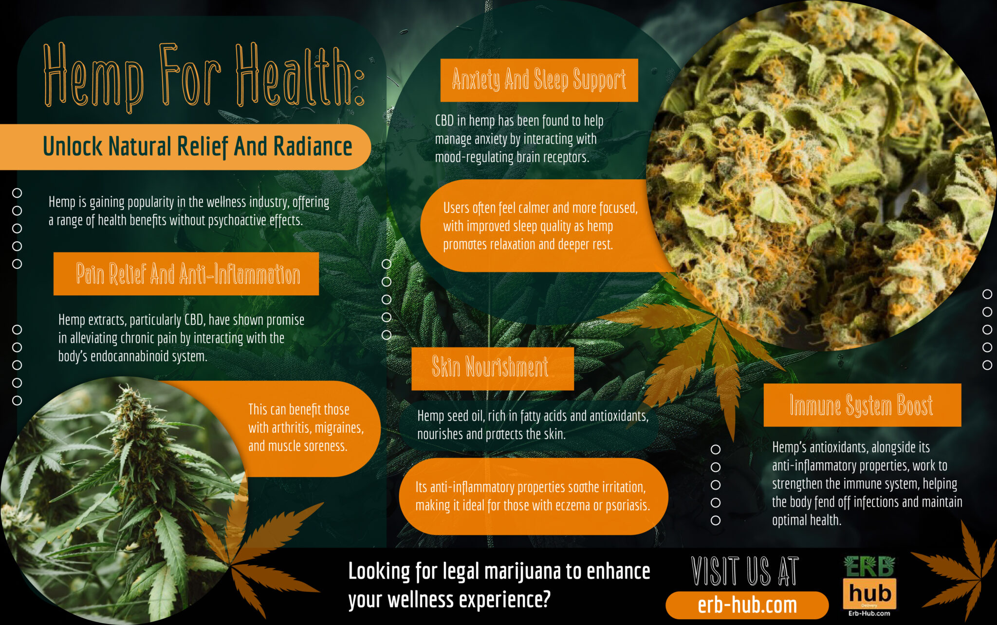 Hemp For Health Unlock Natural Relief And Radiance ERB HUB