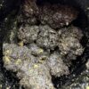 1G Erb Rocks Live Rosin / Live Resin Moon Rocks Digital Art - Image 3