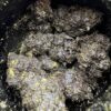 1G Erb Rocks Live Rosin / Live Resin Moon Rocks Digital Art - Image 2