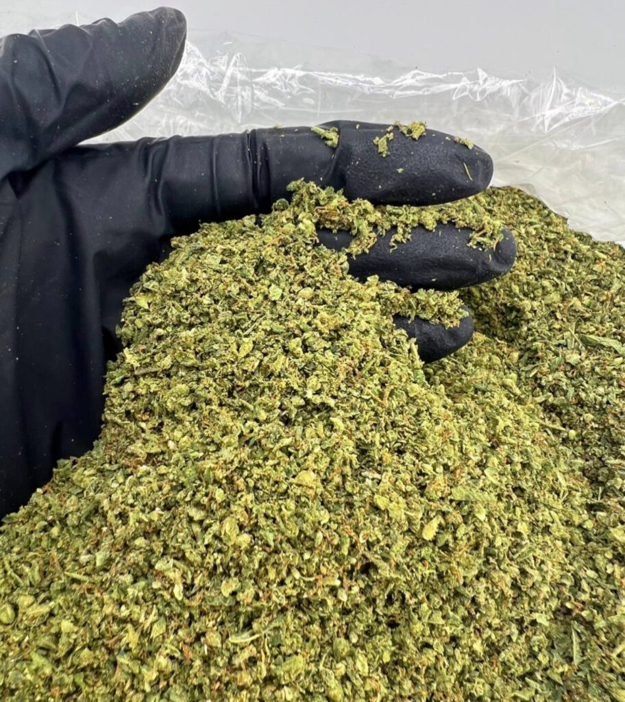 Super Lemon Haze Shake Digital Art ERB HUB