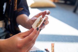 cannabis buds being rolled