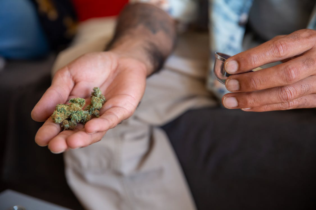 a person holding flower buds.