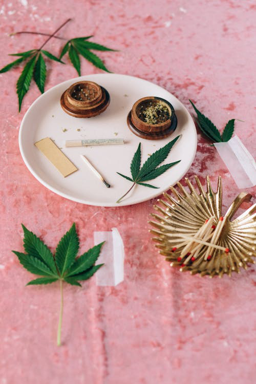 cannabis flower buds on a pink surface.