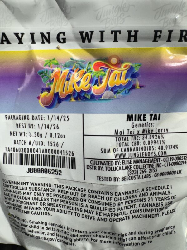 Mike Tai 3.5 by Jungle Boys Digital Art