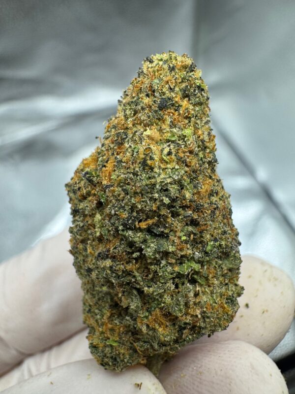 Tahoe OG Digital Art - Image 8