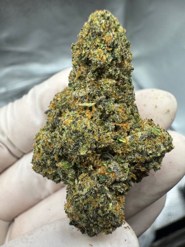 Tahoe OG Digital Art - Image 7