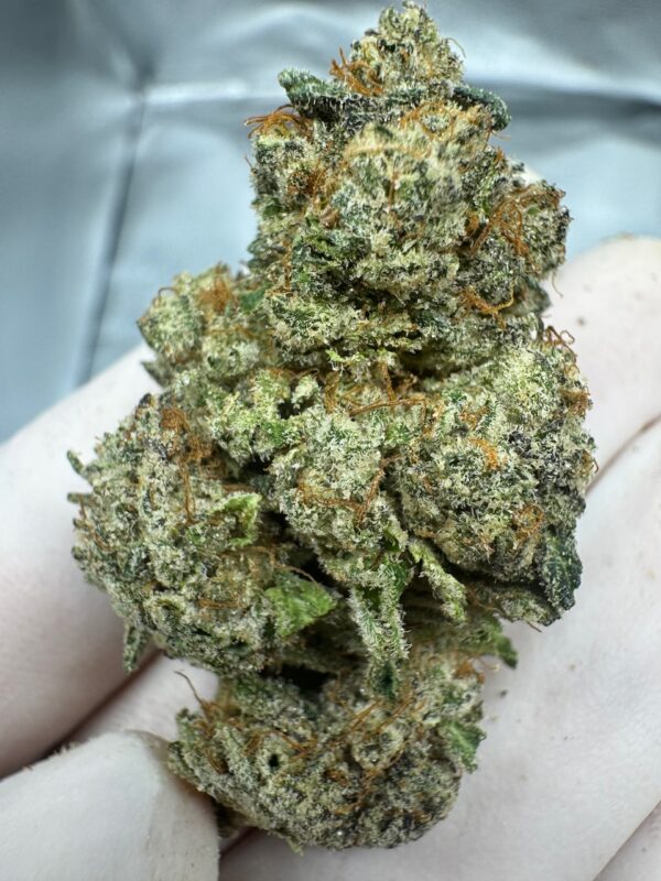 Super Skunk Digital Art