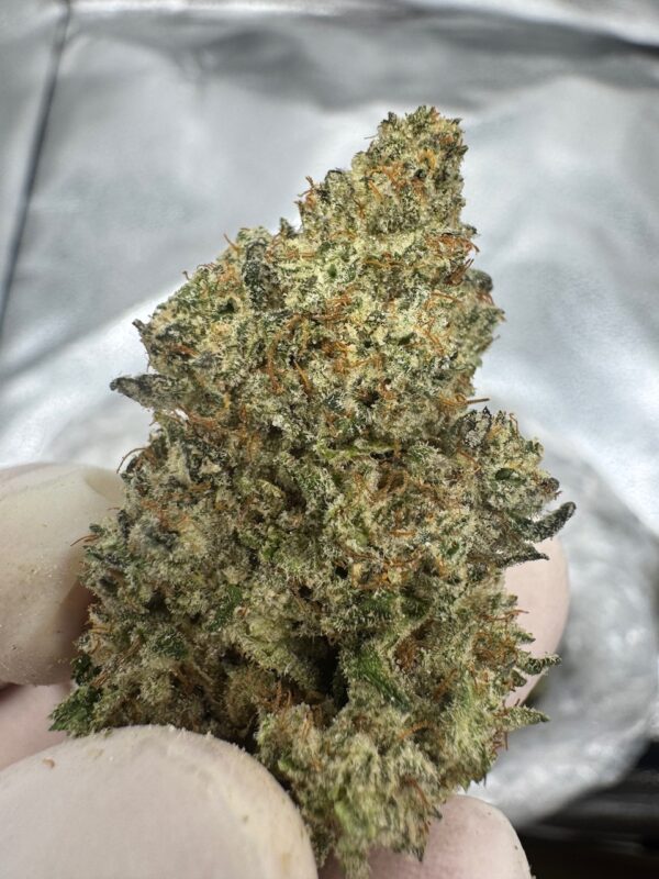 Super Skunk Digital Art - Image 8