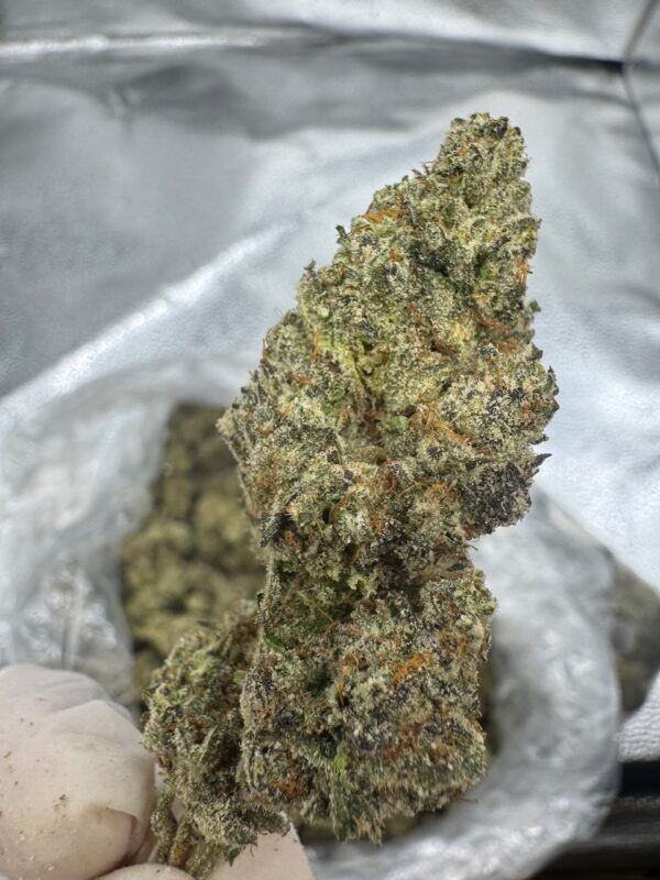 Super Skunk Digital Art - Image 3