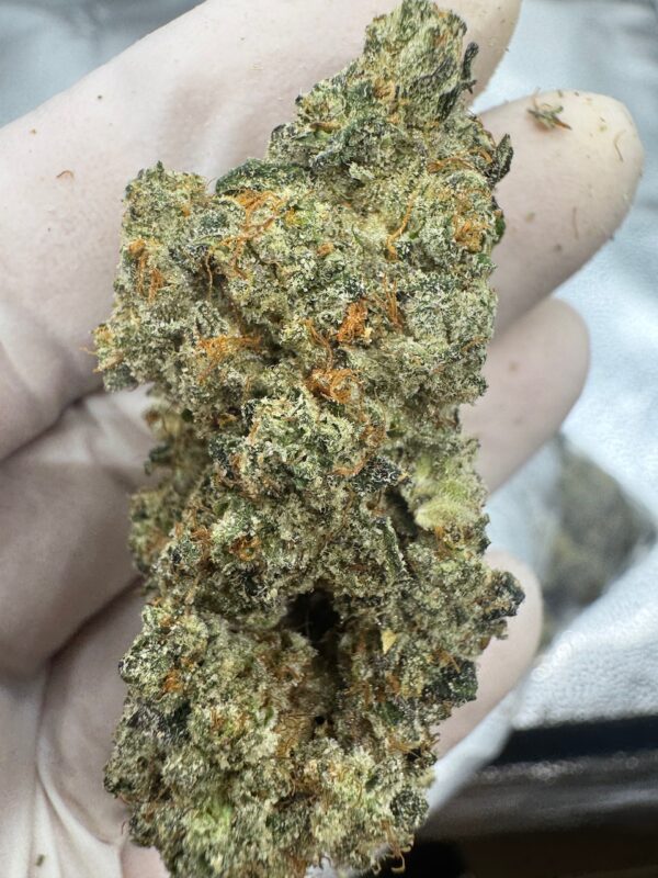 Super Skunk Digital Art - Image 2