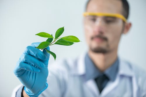  Third-party testing for CBD products