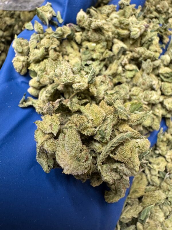 Gorilla Glue #4 Smalls Digital Art - Image 2