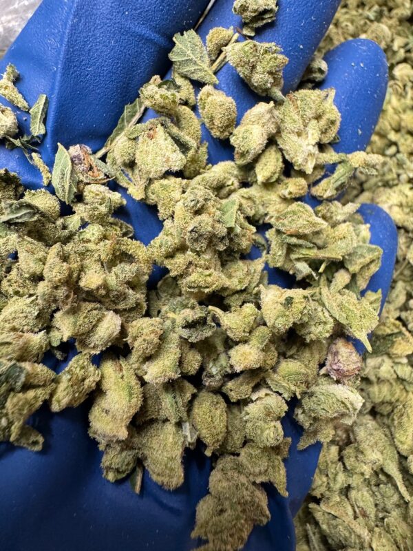 Gorilla Glue #4 Smalls Digital Art - Image 3