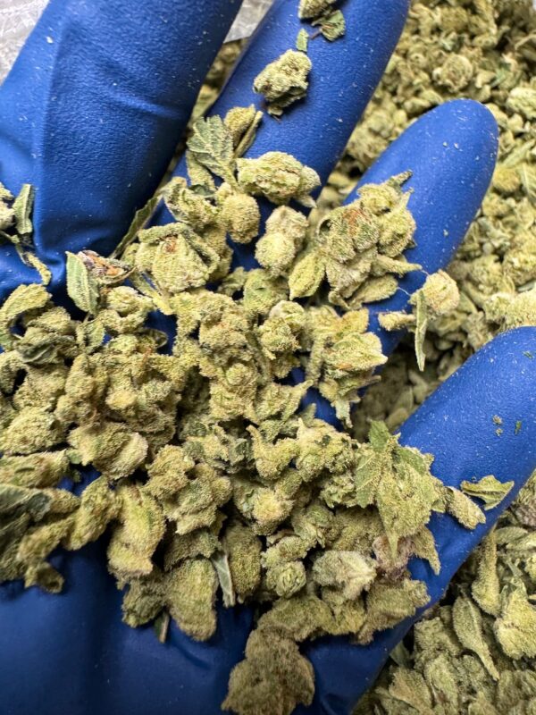 Gorilla Glue #4 Smalls Digital Art - Image 4