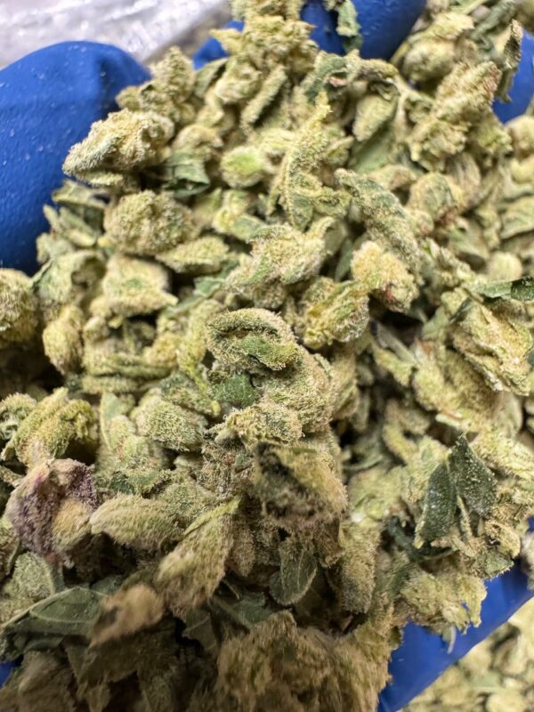 Gorilla Glue #4 Smalls Digital Art - Image 6