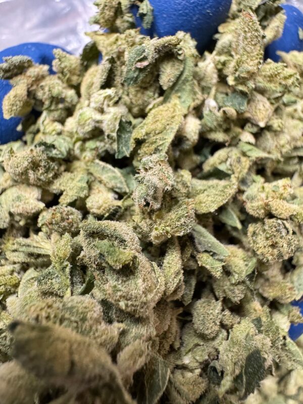 Gorilla Glue #4 Smalls Digital Art - Image 7