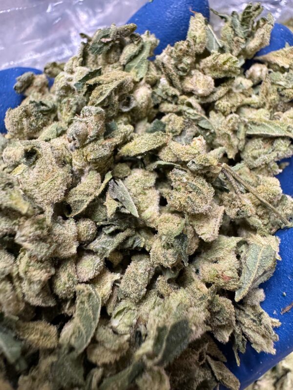 Gorilla Glue #4 Smalls Digital Art - Image 8