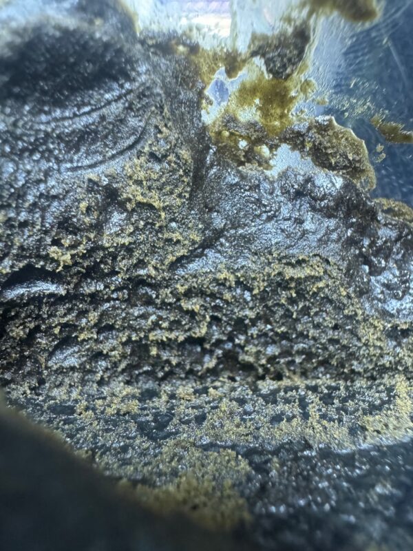 1G Afghan hashish Digital Art - Image 4