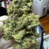 Super Gorilla Glue #4 Digital Art - Image 12