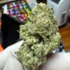 Super Gorilla Glue #4 Digital Art - Image 11