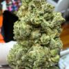 Super Gorilla Glue #4 Digital Art - Image 9
