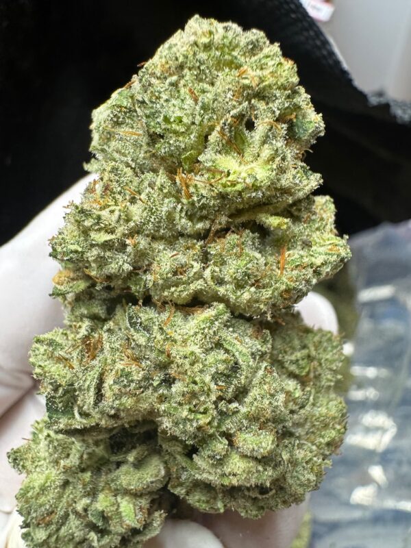 Super Gorilla Glue #4 Digital Art - Image 7