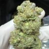 Super Gorilla Glue #4 Digital Art - Image 5