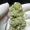 Super Gorilla Glue #4 Digital Art - Image 2