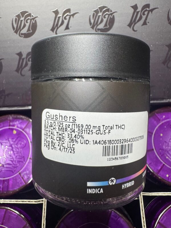 Gushers 3.5 by Connected Digital Art - Image 3