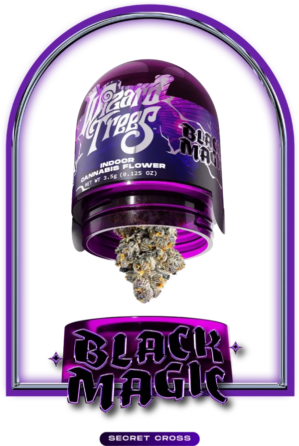 Black Magic 3.5 by Wizard Trees Digital Art