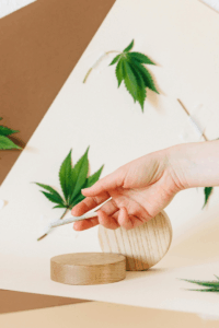 A picture of a hand of a person holding a CBD pre roll