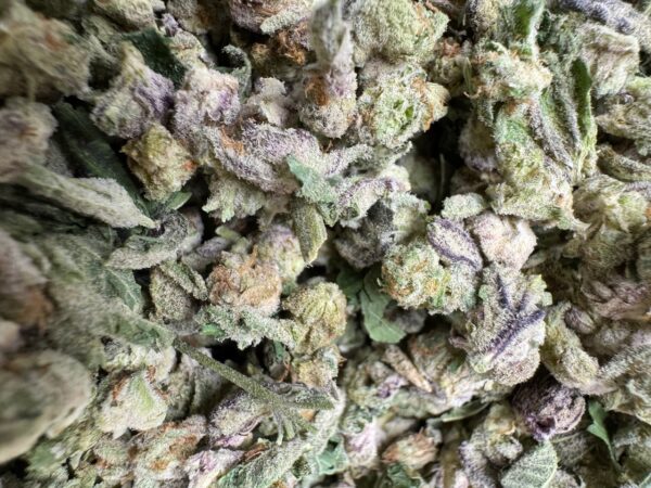 Purple Punch Smalls Digital Art - Image 2