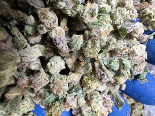 Purple Punch Smalls Digital Art - Image 6