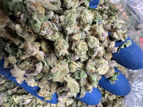 Purple Punch Smalls Digital Art - Image 7