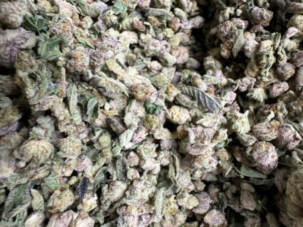 Purple Punch Smalls Digital Art - Image 9