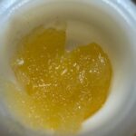 1G Cured Resin Badder Digital Art