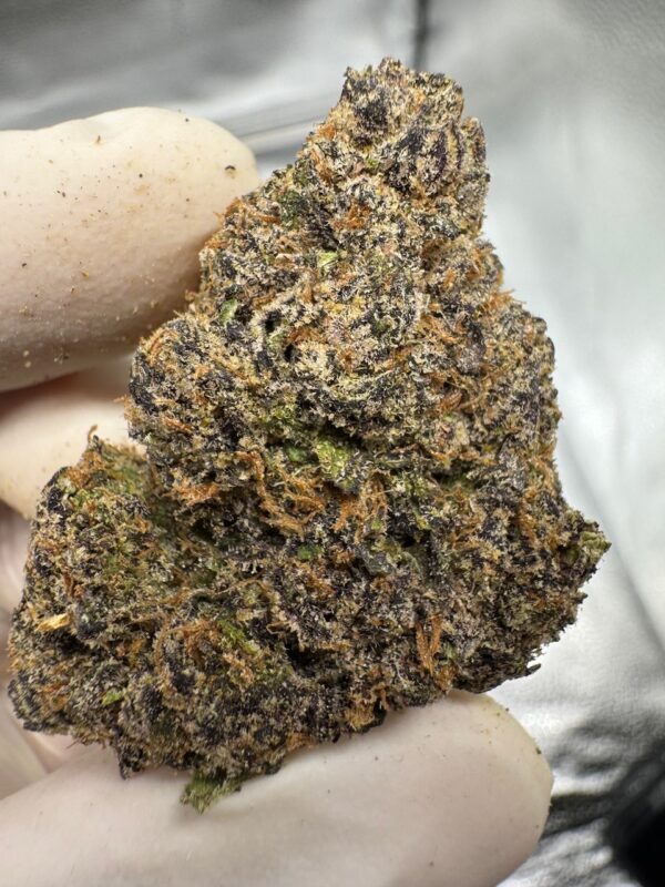 White Truffles Digital Art - Image 2