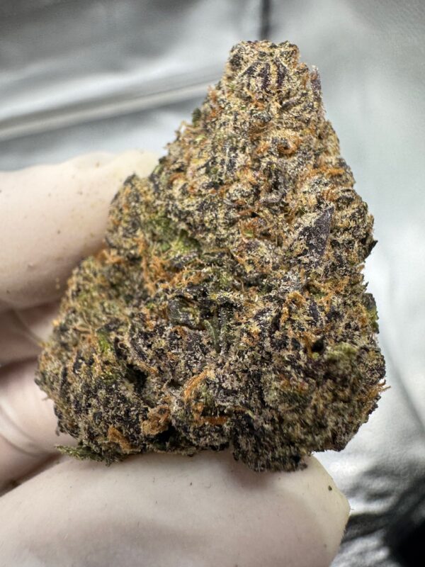 White Truffles Digital Art - Image 3