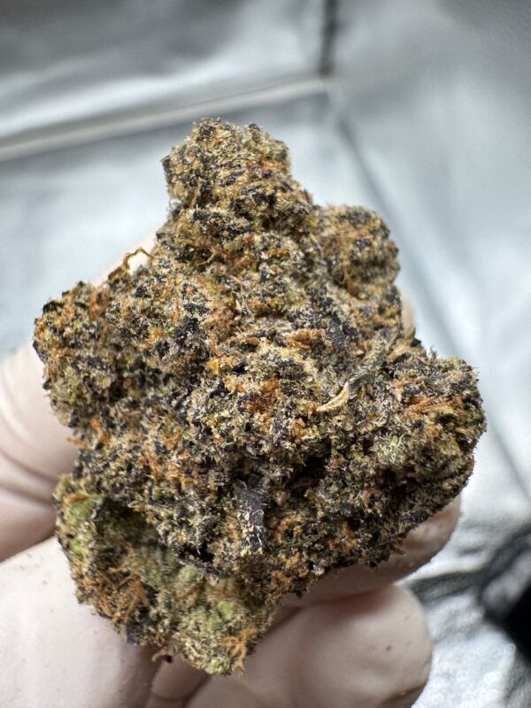 White Truffles Digital Art - Image 6
