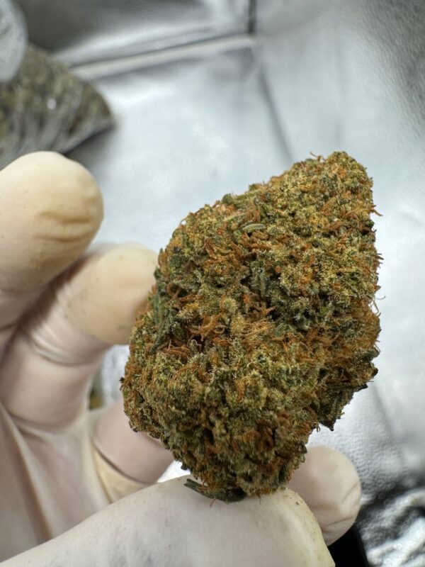 Orange Cookie Chem Digital Art - Image 3