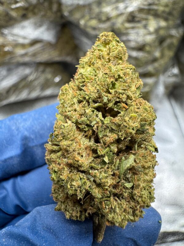 Green Crack Digital Art