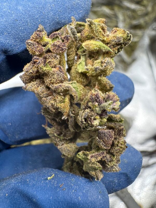 Purple Punch Digital Art - Image 2