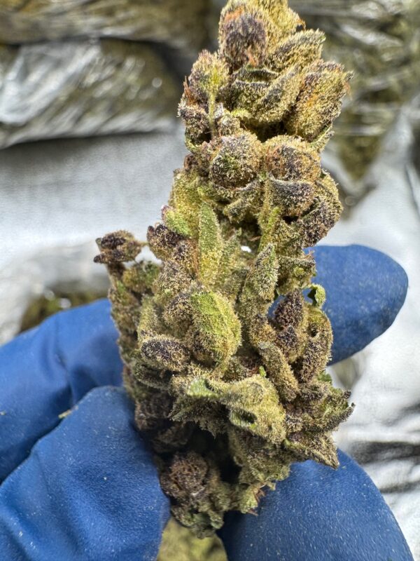 Purple Punch Digital Art - Image 4
