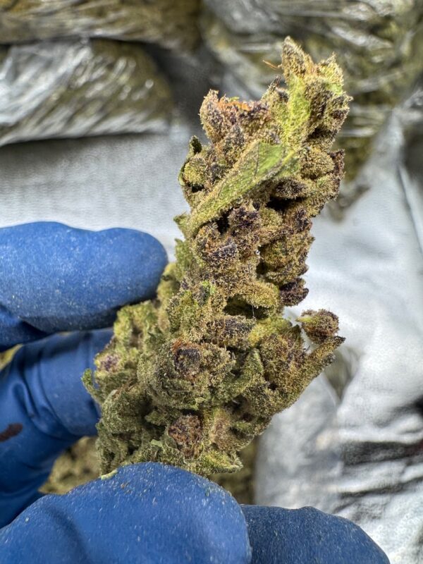 Purple Punch Digital Art - Image 3