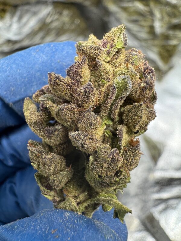 Purple Punch Digital Art