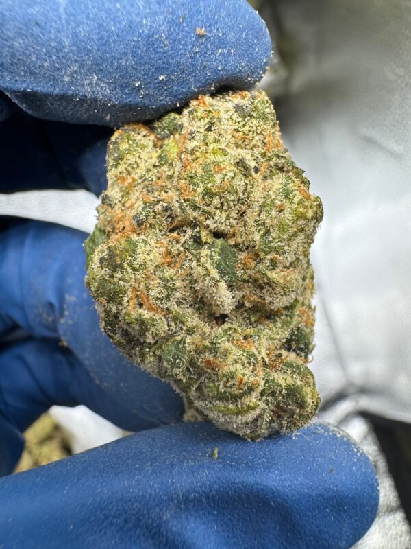 Fryday Kush Digital Art - Image 6
