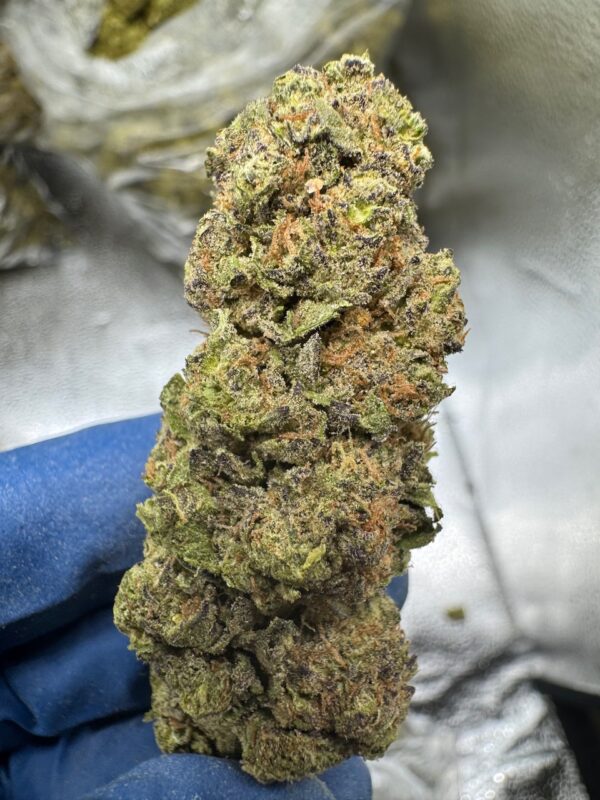 White Widow Digital Art - Image 2