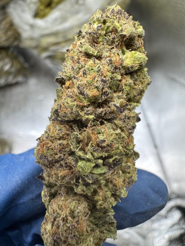 White Widow Digital Art - Image 5