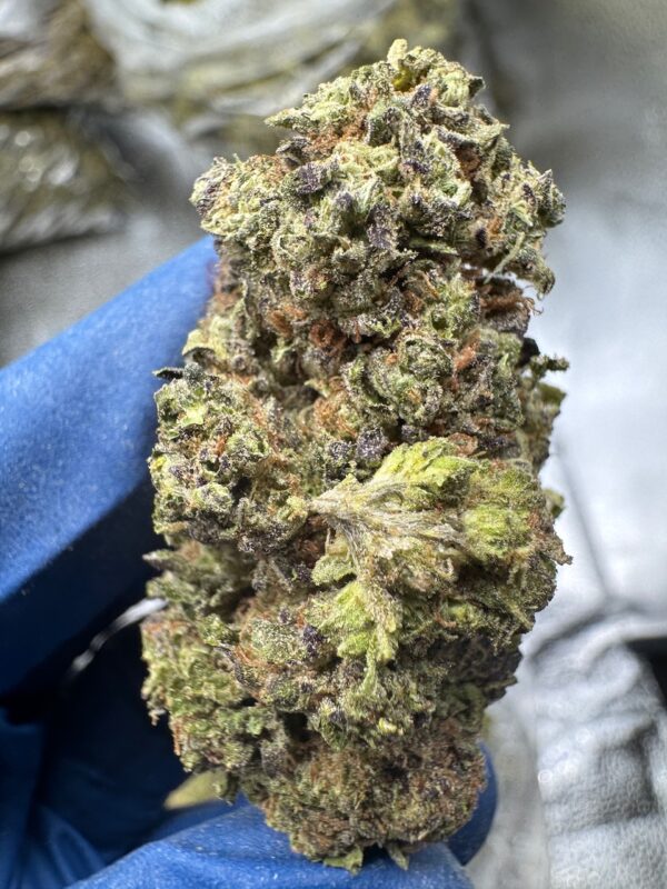 White Widow Digital Art - Image 3